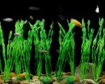 MyLifeUNIT Artificial Seaweed Water Plants for Aquarium, Plastic Fish Tank Plant Decorations 10 PCS (12 Inches Tall, Green)