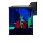 Glofish 10 Gallon Aquarium Fish Tank Kits, Includes LED Lighting and Décor (Amazon Exclusive)