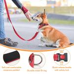 Silkfly 9 Sets Dog Collar and Leash Set for Small Medium Large Dogs Reflective Nylon Leashes Adjustable Collar Padded Handle Walking Training