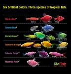 Glofish 10 Gallon Aquarium Fish Tank Kits, Includes LED Lighting and Décor (Amazon Exclusive)