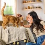 Meow Mix Tender Centers, Salmon & White Meat Chicken Flavors, Dry Cat Food, 20 lb. Bag