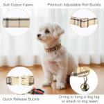 Yizepet Dog Collar and Leash - Adjustable pet Collar for Dogs with Metal Buckle Collar, Stylish Pattern for Small Medium or Large Boy and Girl Dog and Cat