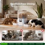 Frienhund Timed Automatic Cat Feeder 2 Cats with Slow Feed: Dual Automatic Dog Feeder with Information Visualization, Programmable Auto Cat Food Dispenser for Multiple Pets,Detachable for Clean-29 Cup