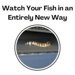 Aquarium Underground Tunnel Cave Natural Curve | Viewing Fish & Shrimp Under Gravel Tunnel | Fish Tank Decor Decoration Hideout Perfect for Corydora Catfish, Kuhli Loach, Clown Loach, Pleco