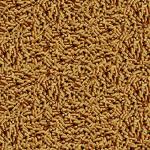 TetraPond Pond Sticks Pond Fish Food for Goldfish and Koi, Healthy Nutrition Clear Water Pond Food