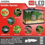 Marina 5 Gallon (19 L) LED Aquarium Kit – Ideal for Beginner Aquarists and New Fish-Keepers