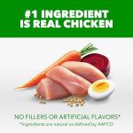 IAMS Proactive Health Dry Dog Food for Small Breeds, Adult Dog Food Dry Recipe, 15 lb. Bag