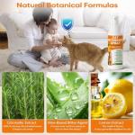 Cat Deterrent Spray 2 Pack, Natural Non-Toxic Plant Based Anti-Scratch & Anti-Marking Spray for Cats & Kittens, Orange Scent Pet Training Aid, Safe for Pets, Indoor Outdoor Furniture, Protector