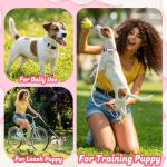 6 Pack Dog Collar and Leash Set, Puppy Collar and Leash Adjustable Floral Dog Collars for Small Dogs Soft Pet Collar for Puppy Small Dogs