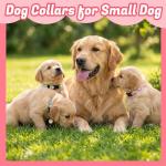 6 Pack Dog Collar and Leash Set, Puppy Collar and Leash Adjustable Floral Dog Collars for Small Dogs Soft Pet Collar for Puppy Small Dogs