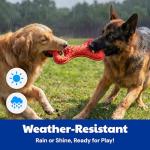 American Kennel Club AKC Sport Double Tug Dog Chew Toy for Aggressive Chewers – TPR Foam Dog Toy – Vanilla Scented – Durable and Lightweight Teething Toy – Assorted