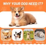 Andiker Dog Squeaky Toy, Bottle Shaped Rubber Dog Chew Toys with Squeaker and Tennis Ball, Treat Dispenser Interactive Dogs Toys for Small and Medium Dogs to Chew and Relieve Boredom (Blue)