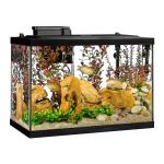 Tetra Aquarium, 20 Gallon, Complete Tropical Fish Tank Kit With LED Lighting And Decor For Freshwater Fish