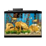 Tetra Aquarium, 20 Gallon, Complete Tropical Fish Tank Kit With LED Lighting And Decor For Freshwater Fish
