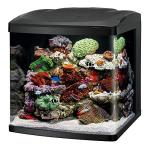 Coralife BioCube, Aquarium Kit, Integrated 24-hour Timer, Customizable LED Lighting, for Saltwater and Freshwater Environments, 32 Gallon