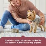 Nutrish Rachael Ray Dry Dog Food Small Breed Real Chicken & Veggies Recipe, 13 lb. Bag