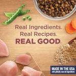 Nutrish Rachael Ray Dry Dog Food Small Breed Real Chicken & Veggies Recipe, 13 lb. Bag