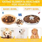 Patelai 2 Pcs Stainless Steel Puppy Dog Feeding Bowls with 12 Pcs Adjustable Pet Collars Puppy Feeder Bowls and Whelping Cat ID Collars