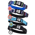 QR Code Pet ID Tag for Cats Dogs - Waterproof Durable Pet Identity Tracking Accessory (Black, M)