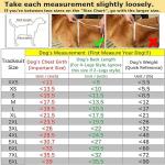 Weowin Pet Outfit - Cute Dog Hoodie Tracksuit Sweater Winter Clothes Pajamas Jumpsuit 4-Legs Black for Puppy Small Medium Large Dogs Girl or Boy (XX-Small)