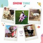 HRTTSY Small Dog Shirt Cute Puppy Cat T Shirts Clothes Soft Cotton Sleeveless Tee Shirts for Small Dogs Cats Doggy Vest Tee Shirt Chihuahua Yorkie Shih Tzu Pet Apparels(Coffee Monkey,S)