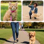 48 Pcs Dog Collar and Leash Set with Hook and Buckle, Quick Release Buckle Adjustable Puppy Collars & Polypropylene Puppy Leash Bulk, Newborn Puppys Collars, for Litter Puppies Small Pets, 12 Colors