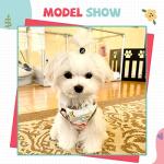 HRTTSY Small Dog Shirt Cute Puppy Cat T Shirts Clothes Soft Cotton Sleeveless Tee Shirts for Small Dogs Cats Doggy Vest Tee Shirt Chihuahua Yorkie Shih Tzu Pet Apparels(Coffee Monkey,S)