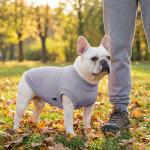 3 Pack Dog Shirt for Small Supplies Functional Waffle Dog Clothes Warm Soft Sweatshirt Outfit for Dogs Cats Pet Apparel