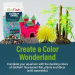 GloFish Aquarium Starter Kit, 6.6 Gallon Fish Tank, Includes Blue & White LED Lights, Tetra Whisper Bio-Bag Filter & Thermometer