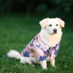 4 Pcs Dog Summer Shirts Floral Hawaii Dog Shirt Pet Clothes for Small Medium Dog Cats Boy Girl