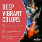 Blue Ridge Koi Fish Food 14lb - Koi Food 3/16” Platinum Pro Formula Goldfish Food, Premium Fish Food for Ponds, Ponds Fish Food, Floating Pond Pellet