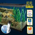 Tetra Complete LED Aquarium 55 Gallons, Includes LED Lighting, Filtration, Heater and Accessories