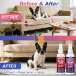 JJBONG Potty Training Spray for Dogs, Puppy Potty Training Spray, Includes Here Potty & Not Here Training Spray, Puppy Pee Spray, Helps Dogs Develop Proper Potty Habitss, 6.8 Fl Oz (Pack of 2).