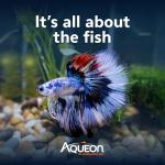 Aqueon LED MiniBow Small Aquarium Fish Tank Kit with SmartClean Technology, Black, 5 Gallon