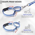 ESGPET Martingale Dog Collar and Leash Set for Walking, Playing, Training, Reflective Adjustable Puppy Collars with Leash for Small Medium Large Dogs (Blue,Small)