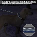 ESGPET Martingale Dog Collar and Leash Set for Walking, Playing, Training, Reflective Adjustable Puppy Collars with Leash for Small Medium Large Dogs (Blue,Small)