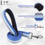 ESGPET Martingale Dog Collar and Leash Set for Walking, Playing, Training, Reflective Adjustable Puppy Collars with Leash for Small Medium Large Dogs (Blue,Small)