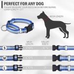 ESGPET Martingale Dog Collar and Leash Set for Walking, Playing, Training, Reflective Adjustable Puppy Collars with Leash for Small Medium Large Dogs (Blue,Small)
