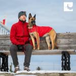 RC Pet Products Cascade Dog Coat, Essential All Weather Dog Jacket, Size 12, Arctic Blue