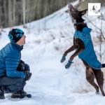 RC Pet Products Cascade Dog Coat, Essential All Weather Dog Jacket, Size 12, Arctic Blue