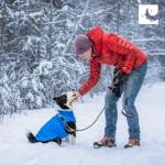 RC Pet Products Cascade Dog Coat, Essential All Weather Dog Jacket, Size 12, Arctic Blue