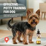 KFQHBQ Potty Training Spray for Dogs, Advanced Dog Spray for Indoor Housebreaking, Dog Pee Spray with Pheromone Attractant, Effective Potty Training Aid for Puppies & Adult Canines, 120ml