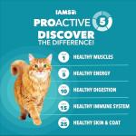 IAMS Proactive Health Dry Cat Food, Indoor Weight and Hairball Care Cat Food Dry Recipe, with Real Chicken in Every Bite, 16 lb. Bag