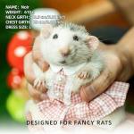 SMOLKITH Fancy Rat Clothes, Pet Rat Adjustable Pink Plaid Button Up Dress with Leash, Small Animal Apparel for Walking, Fits Guinea Pigs，Chinchillas，Meerkats，Rabbits and More- Size M