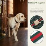 Premium Dog Collar, Cute Dog Collars Luxury Style, Durable Pet Collars and Dog Leash with Metal Buckle Safety for Big Dogs