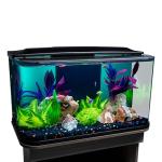GloFish Glass Aquarium Kit, 20 Gallons, Includes Premium Blue, LED Light Stick & Integrated Filtration, Perfect for Beginners or Seasoned Hobbyists, Seamless, Curved Design