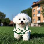 Dog Shirt Polo Shirt Striped Collar Puppy Clothes Summer Button Up Pet Clothes for Small Medium Dogs Cats for Boy Girl Pets (Green, Small)