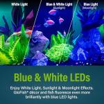 GloFish Glass Aquarium Kit, 20 Gallons, Includes Premium Blue, LED Light Stick & Integrated Filtration, Perfect for Beginners or Seasoned Hobbyists, Seamless, Curved Design