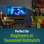 GloFish Glass Aquarium Kit, 20 Gallons, Includes Premium Blue, LED Light Stick & Integrated Filtration, Perfect for Beginners or Seasoned Hobbyists, Seamless, Curved Design