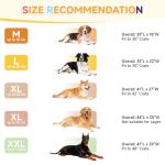 WAYIMPRESS Waterproof Large Dog Bed - XL Dog Bed for Crate, Washable Crate Bed with Orthopedic Pet Mat with Egg Crate Foam, Anti-Slip, Reversible & Washable Cover, 41" x 27", Gray